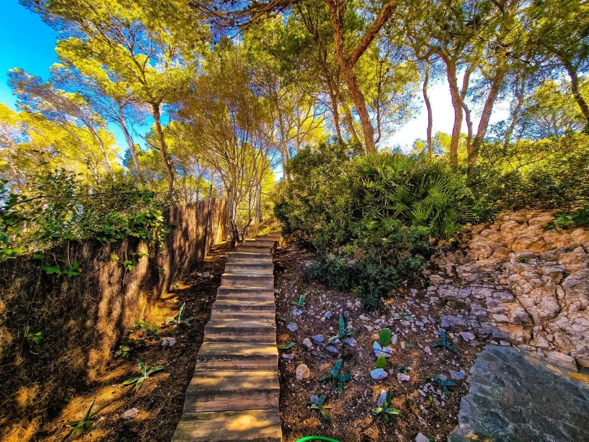 Villa Cala Llamp Andratx Εξωτερικό φωτογραφία